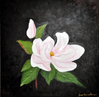 /album/a2010-2011/a32-large-jpg/